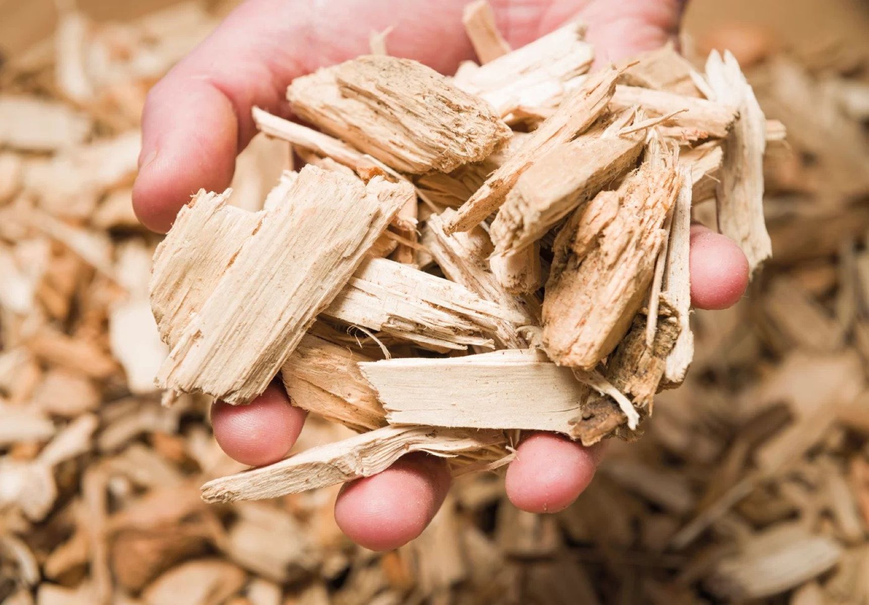 How To Store Wood Chips